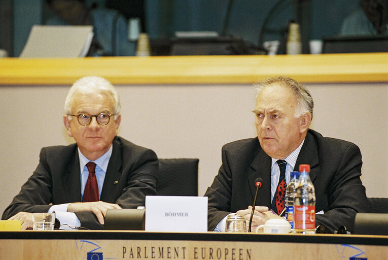 Foto 2: Meeting in the European Parliament