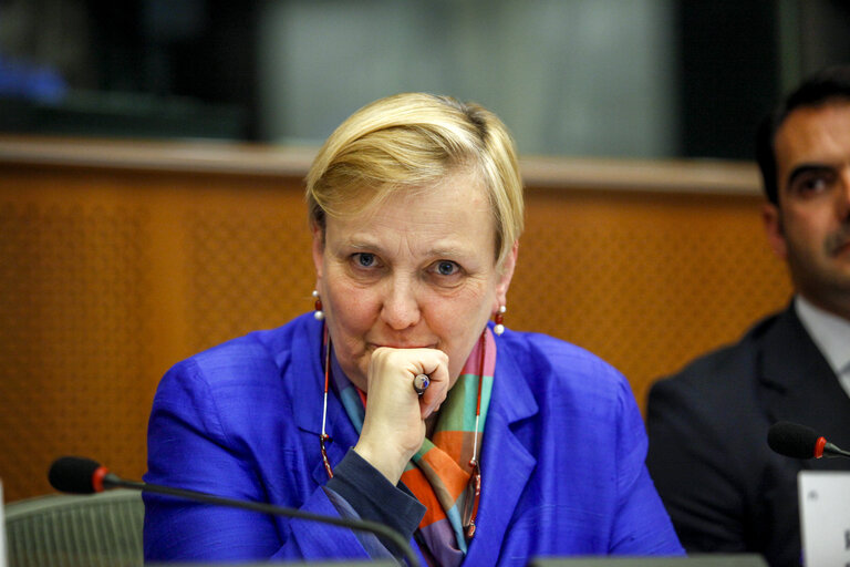 IMCO Working Group on Digital Single Market