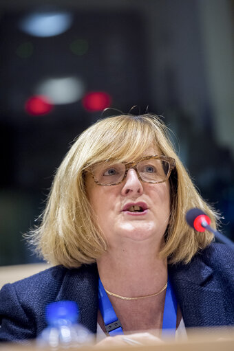 STOA Workshop: ' Graphene in Europe '