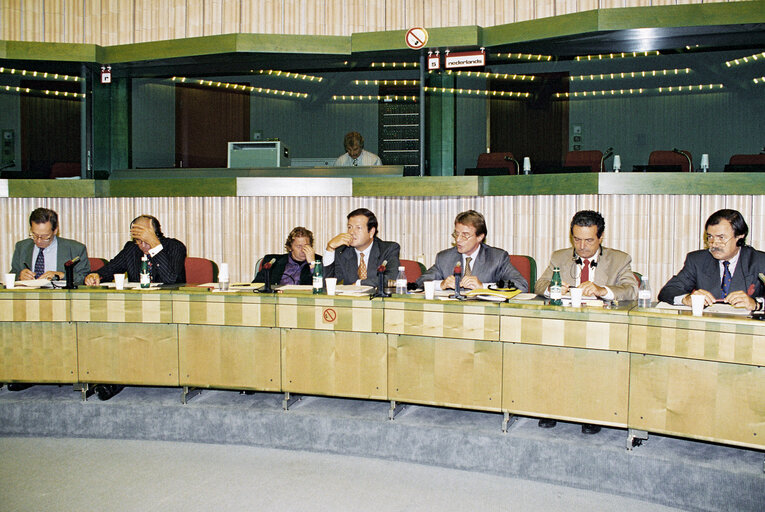 Meeting at the European Parliament in Strasbourg