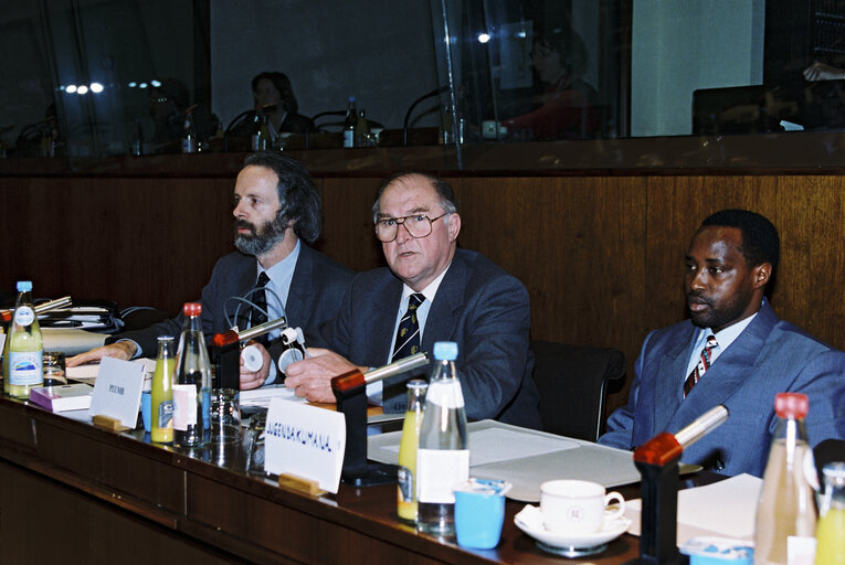 Photo 4: EU-Burundi Parliamentary Meeting