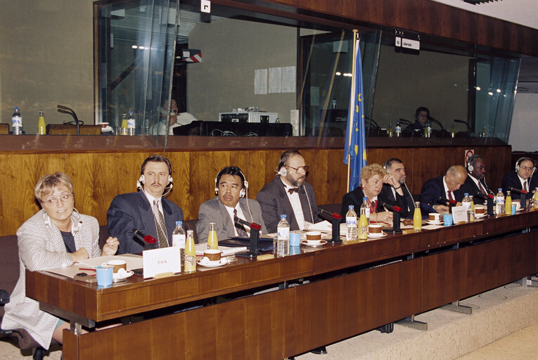 Fotografie 13: Meeting of the Delegation for relations with the Republics of former Yugoslavia