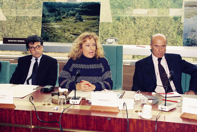 Meeting with Cristiana MUSCARDINI