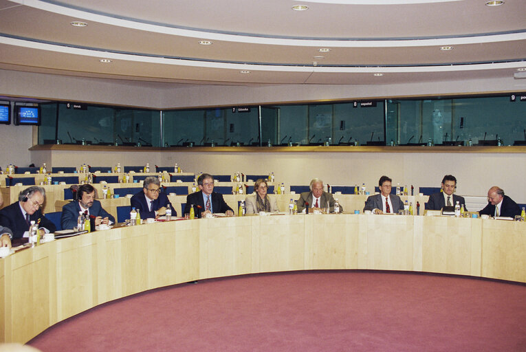 Fotografie 5: European Parliament Information Offices meeting