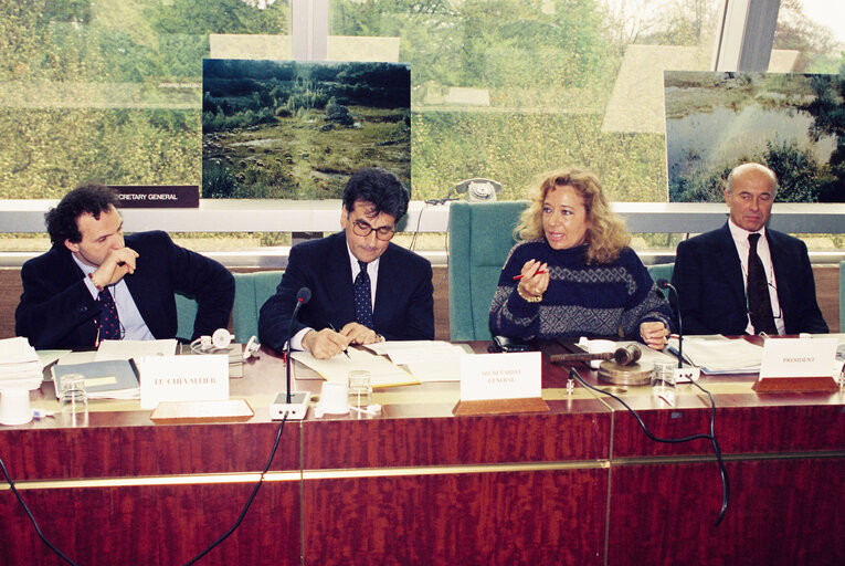 Meeting with Cristiana MUSCARDINI