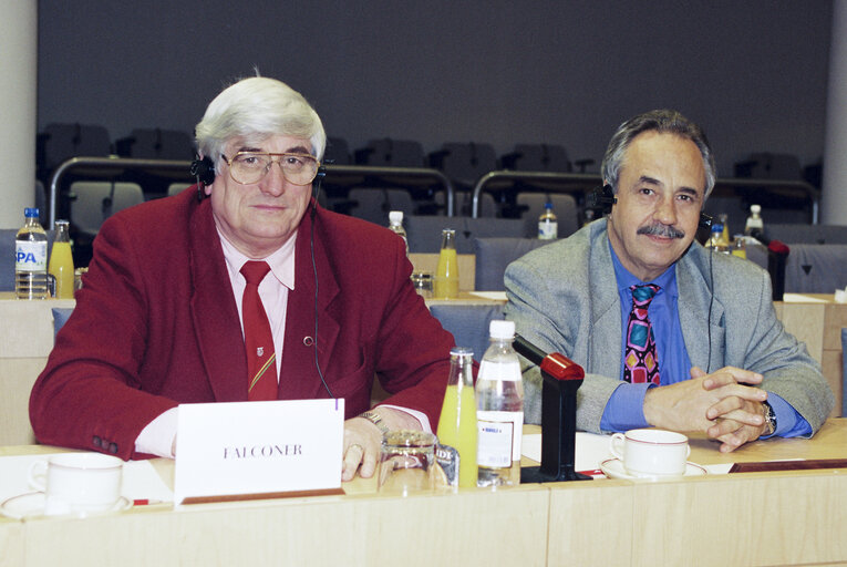 Meeting at the EP in Brussels