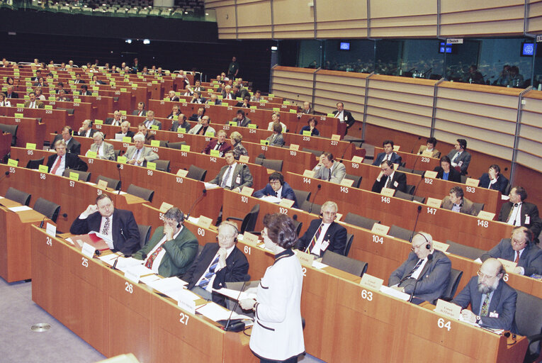 Nuotrauka 12: Conference on Local Authorities at the EP in Brussels in april 1994.