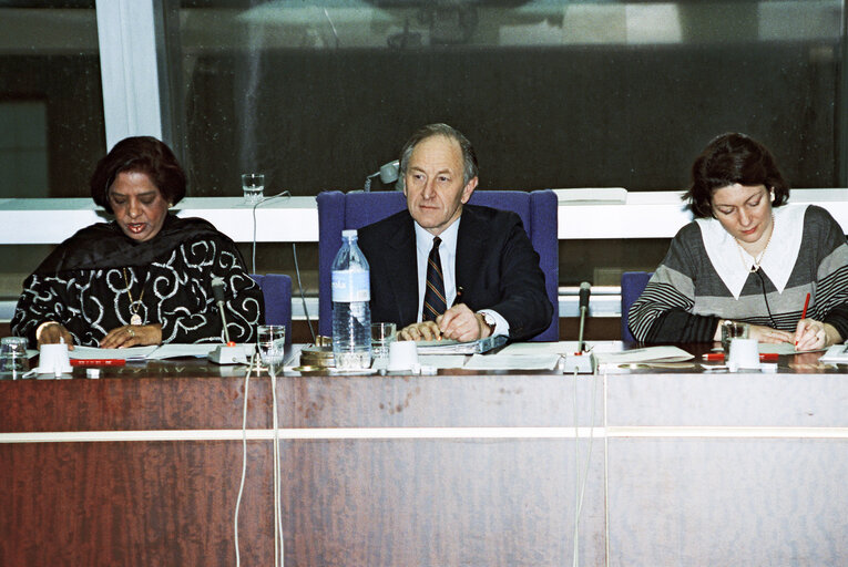 Fotografie 20: Meeting presided by MEP Christopher M. JACKSON in Strasbourg