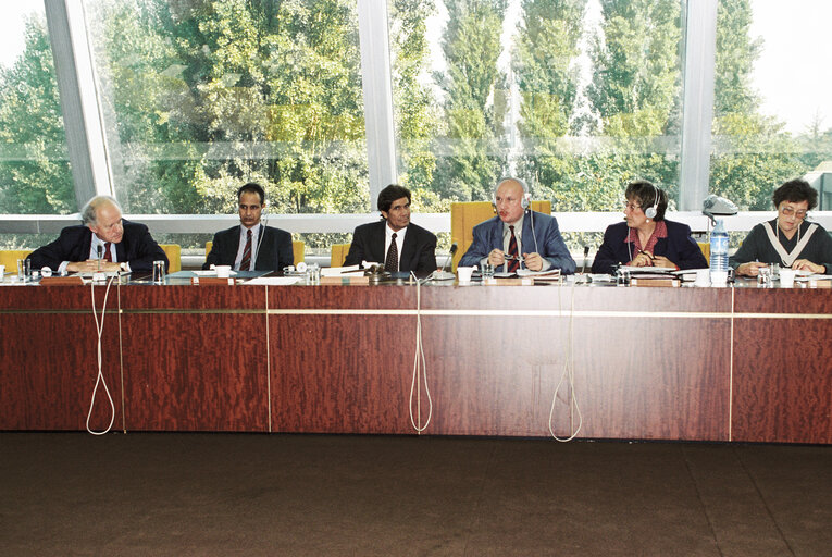 Meeting at the European Parliament in Strasbourg