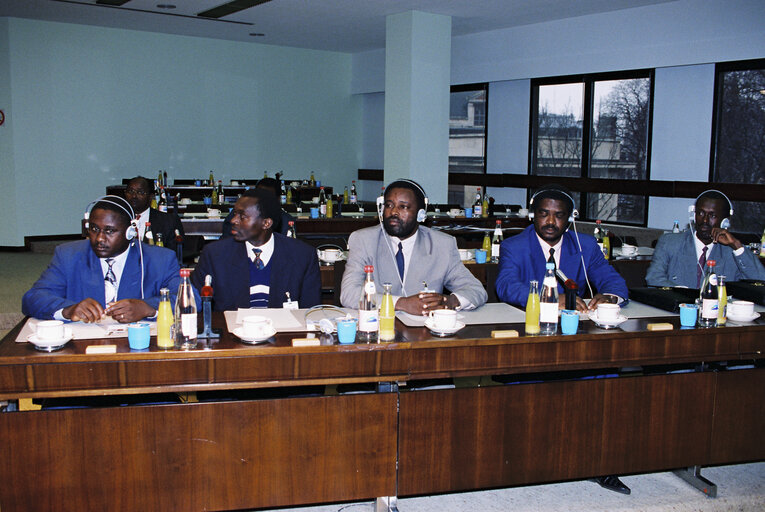 Fotografia 5: EU-Burundi Parliamentary Meeting