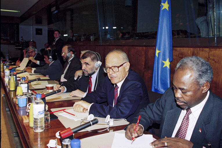 Meeting of the Delegation for relations with the Republics of former Yugoslavia