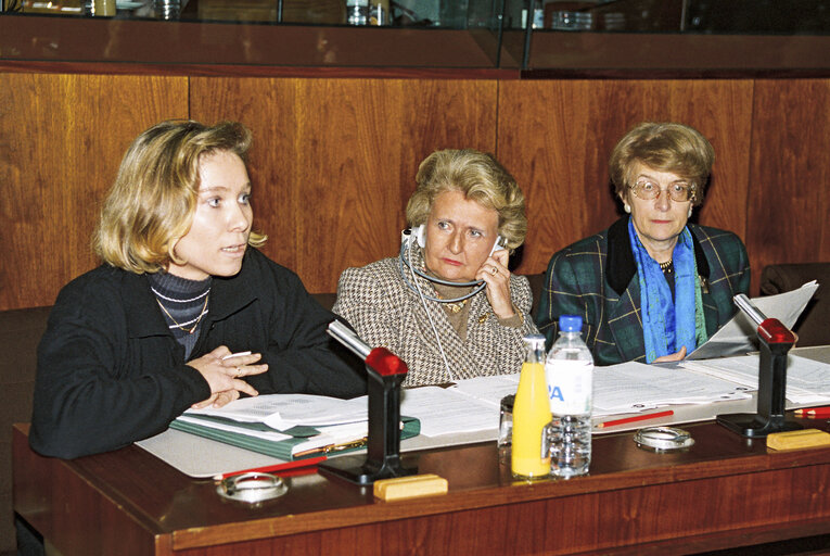 Photo 4: FEMM Committee Meeting at the European Parliament in Brussels