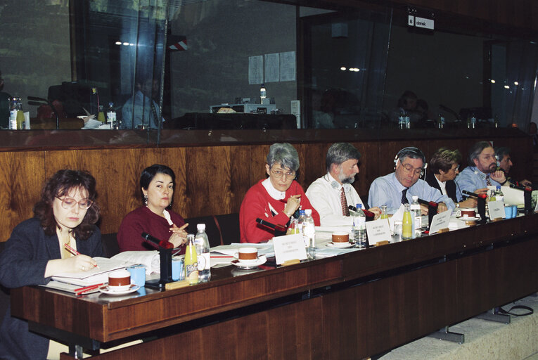 Nuotrauka 3: Meeting at the EP in Brussels