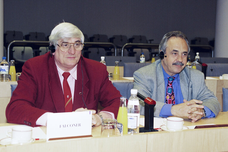 Meeting at the EP in Brussels