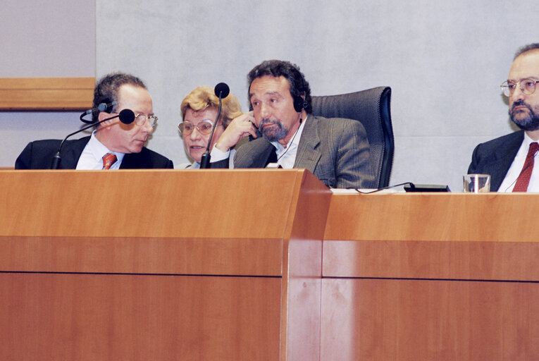 Nuotrauka 20: Conference on Local Authorities at the EP in Brussels in april 1994.