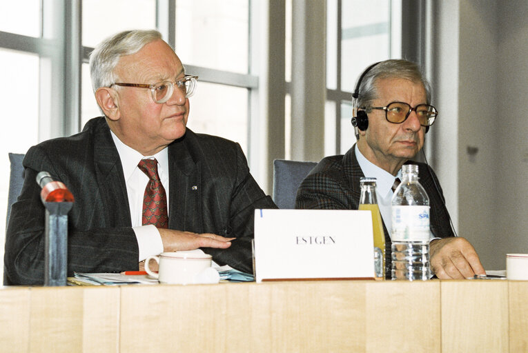 Φωτογραφία 6: Meeting at the European Parliament in Brussels