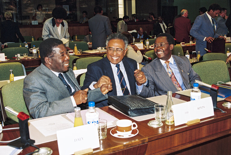 Fotografi 8: ACP-EU Joint Assembly at the European Parliament in Brussels