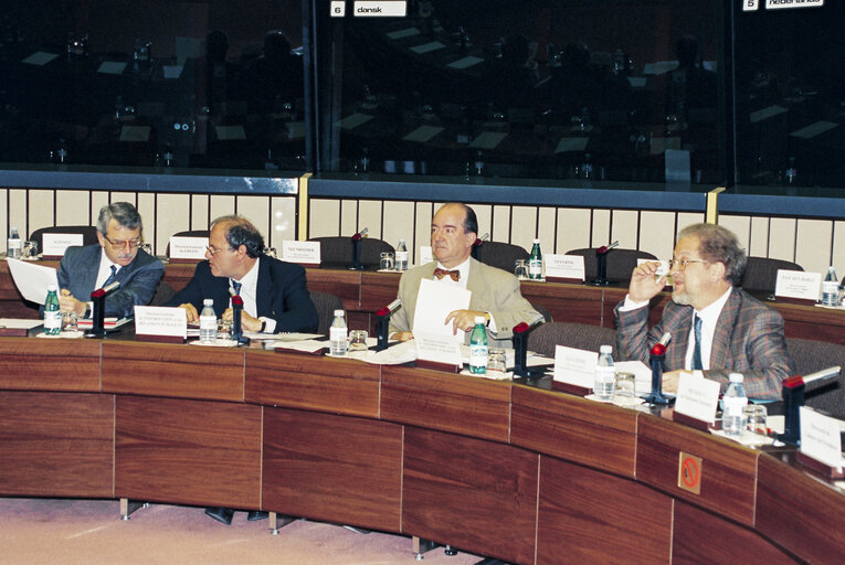 Meeting at the European Parliament in Strasbourg