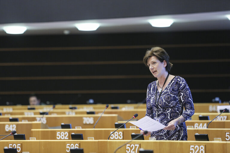 Foto 42: Plenary Session week 22 2015 in Brussels