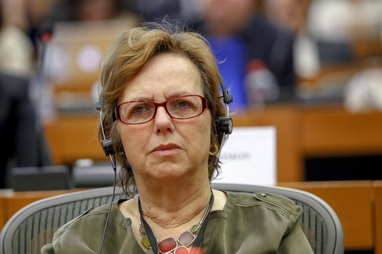 IMCO Working Group on Digital Single Market