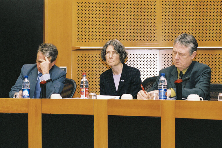 Meeting in the European Parliament