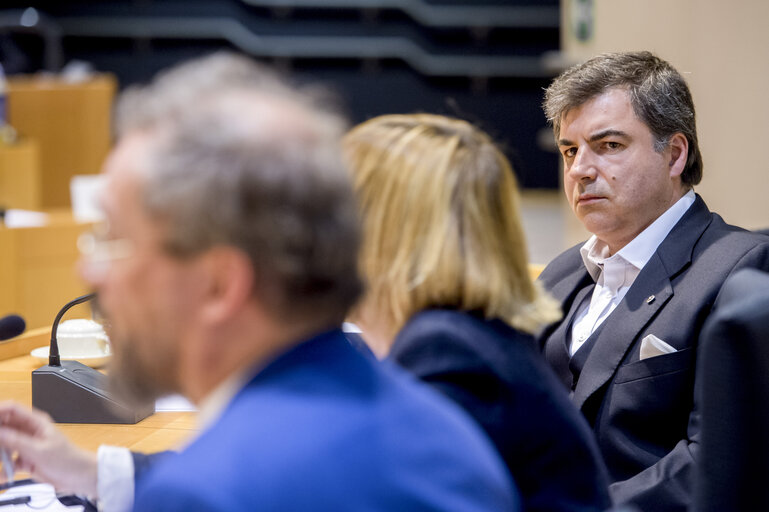 STOA Workshop: ' Graphene in Europe '