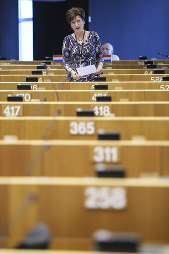 Foto 43: Plenary Session week 22 2015 in Brussels