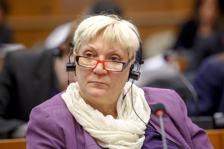 IMCO Working Group on Digital Single Market