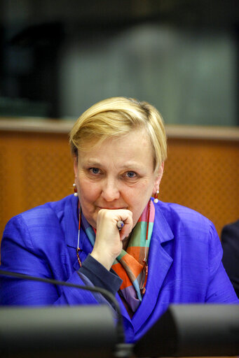 IMCO Working Group on Digital Single Market