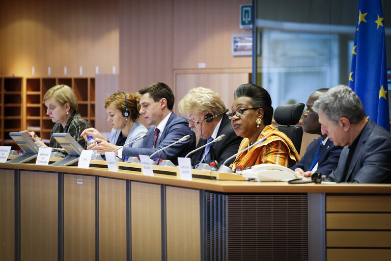 AFET Committee meeting Exchange of view with President of the Central  African Republic