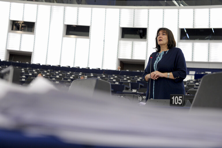 Plenary session week 21 2015 in Strasbourg - Eastern Partnership summit