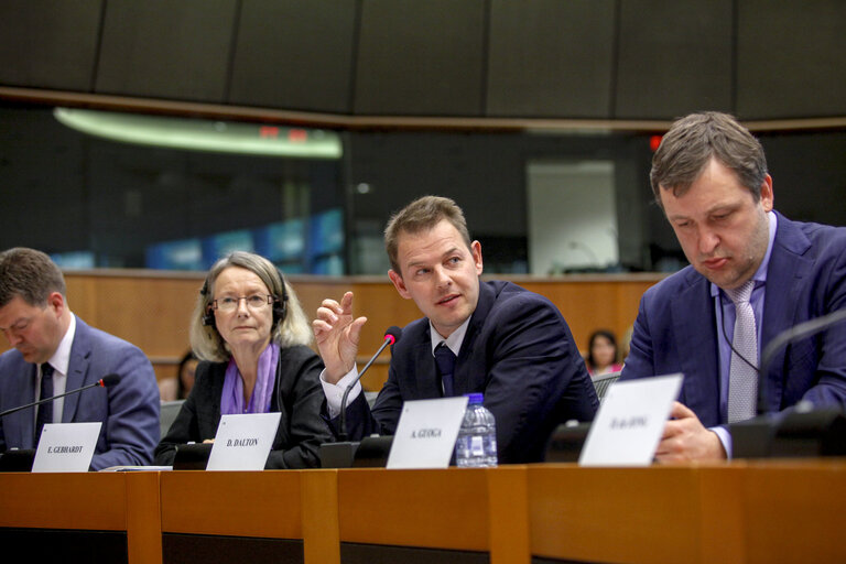 IMCO Working Group on Digital Single Market