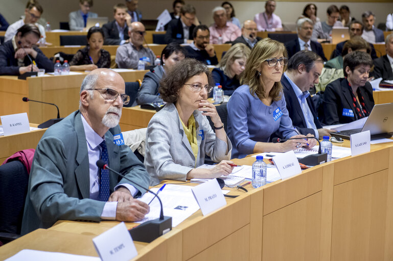 STOA Workshop: ' Graphene in Europe '