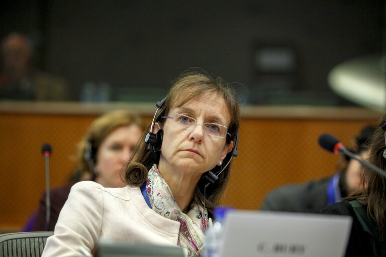 IMCO Working Group on Digital Single Market