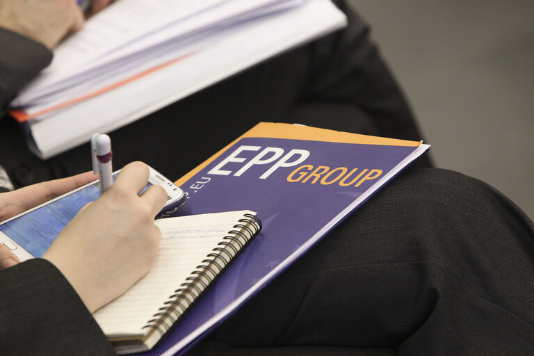 EPP Group logo