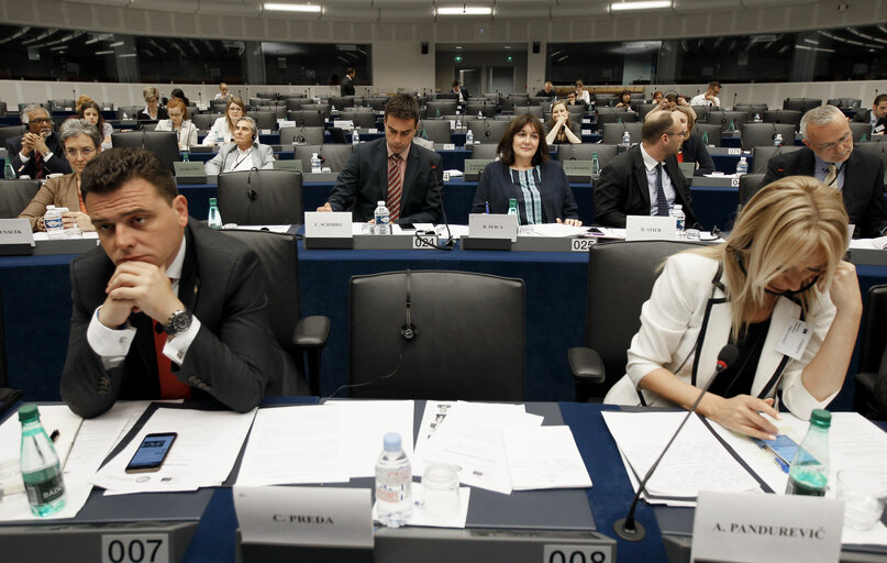 17th EP-Bosnia and Herzegovina Inter-Parliamentary Meeting