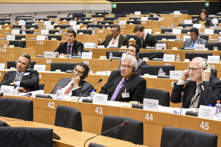 Fotografi 12: EUROLAT Parliamentary assembly - 8th Ordinary Plenary session. Meeting of the Committee on Economic, Financial and Commercial Affairs.