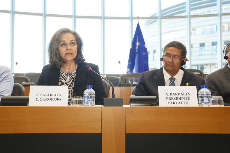 Fotografija 13: EUROLAT - 8th Ordinary Plenary session  Joint Parliamentary meeting of the EP Delegation for relations with the Countries of Central America with the Central America Parliament and the Legislative Assembly of Costa Rica