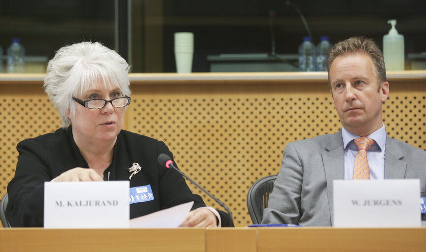 Billede 8: High-level seminar Cyber Agenda 2015