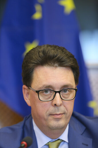 The new Digital Single Market strategy for Europe: challenges and pportunities for an inclusive e-society