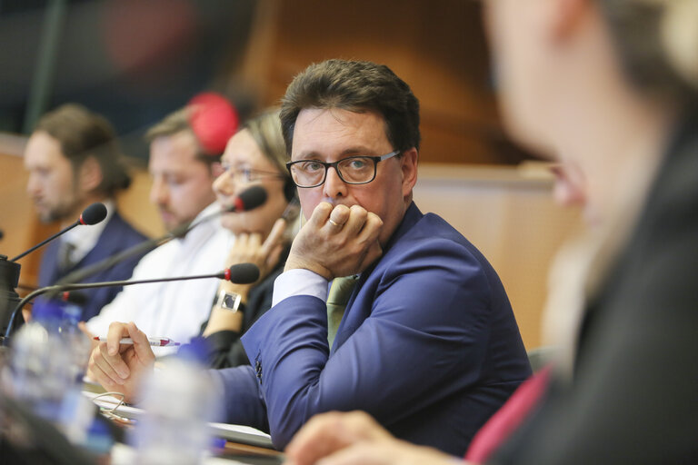 The new Digital Single Market strategy for Europe: challenges and pportunities for an inclusive e-society