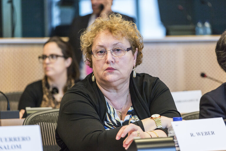 Photo 2: Euro-Latin American Parliamentary Assembly - 8th Ordinary Plenary Session  Meeting of the Working Group on Migration in relations between the EU, Latin America and the Caribbean