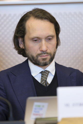 The new Digital Single Market strategy for Europe: challenges and pportunities for an inclusive e-society