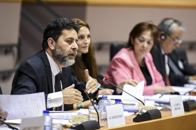 Fotografi 5: EUROLAT Parliamentary assembly - 8th Ordinary Plenary session. Meeting of the Committee on Economic, Financial and Commercial Affairs.