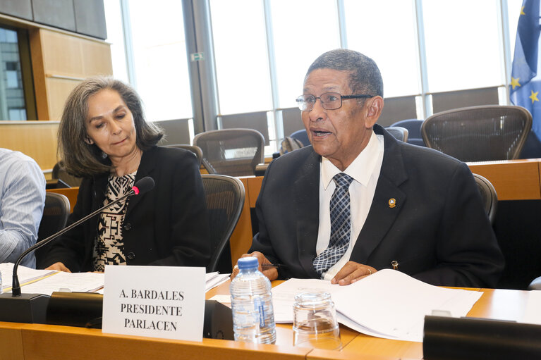 Fotó 10: EUROLAT - 8th Ordinary Plenary session  Joint Parliamentary meeting of the EP Delegation for relations with the Countries of Central America with the Central America Parliament and the Legislative Assembly of Costa Rica