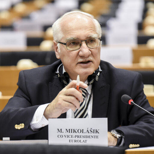 Fotografi 13: EUROLAT Parliamentary assembly - 8th Ordinary Plenary session. Meeting of the Committee on Economic, Financial and Commercial Affairs.