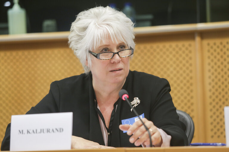 Billede 15: High-level seminar Cyber Agenda 2015