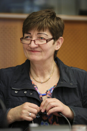 Nuotrauka 21: EU delegation for relations with Iran meet with Iranian Delegation at the EP in Brussels