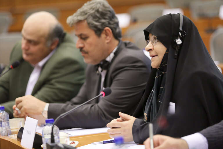 Nuotrauka 1: EU delegation for relations with Iran meet with Iranian Delegation at the EP in Brussels