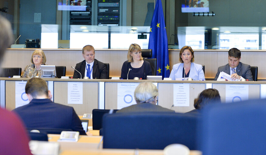 Foto 13: EU Diabetes Working Group:  Diabetes in Europe: The State we are in Key priorities for the European Institutions